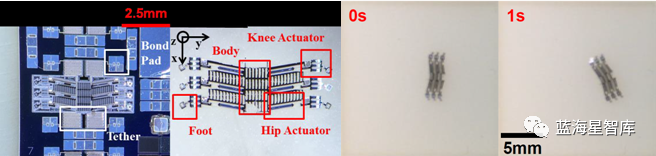 Development Status of Micrometer-Level Microrobots