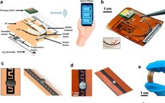 Integrated Multifunctional Wearable Platform with Graphene and Liquid Metal