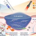 Photothermal Driven Chitosan-Stabilized MoS2 Nanosheets for Wound Healing
