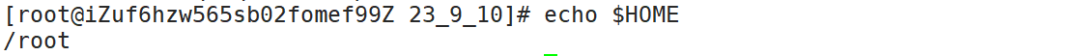 Essential Skills for Linux Experts: A Comprehensive Guide to Environment Variables