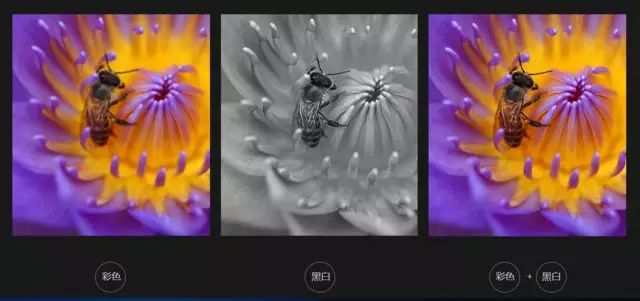 Exploring Dual Camera Technology in iPhone 7