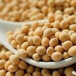 Maillard Reaction of Soy Protein Isolate with Glucose and Maltose Under Humid Heat Conditions