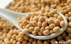 Maillard Reaction of Soy Protein Isolate with Glucose and Maltose Under Humid Heat Conditions