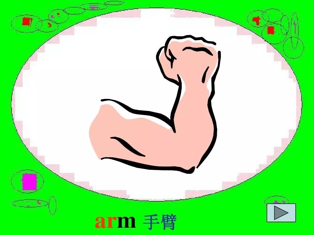 Learn English with Collins Dictionary: Arm