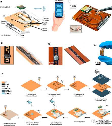 Integrated Multifunctional Wearable Platform with Graphene and Liquid Metal
