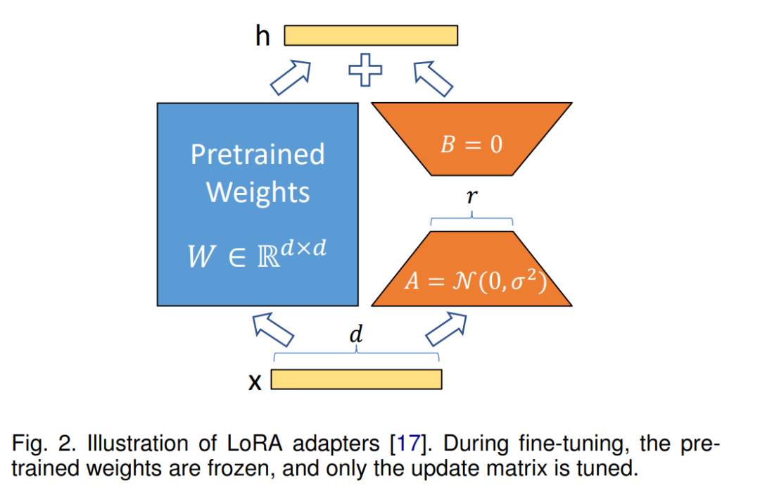 Latest Advances in LoRA: A Comprehensive Review