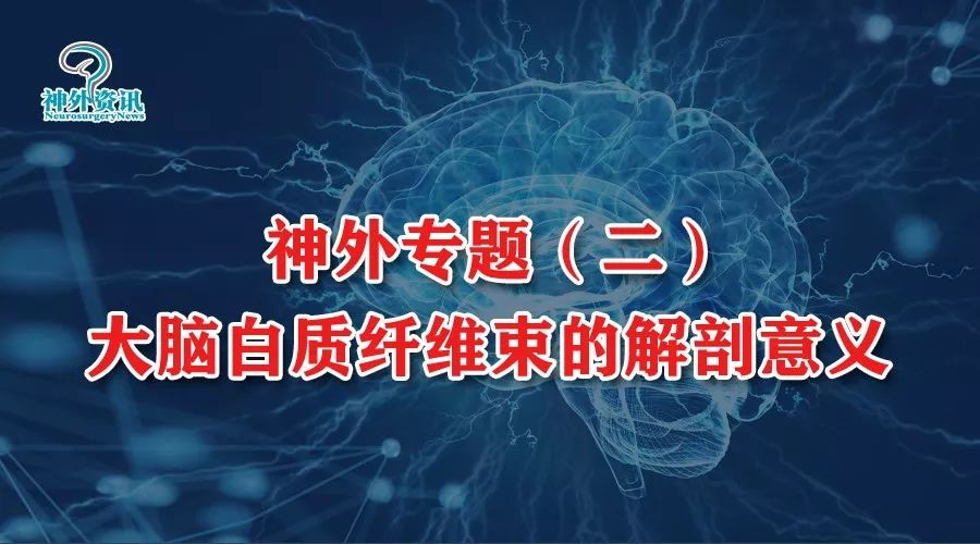 The Anatomical Significance of Brain White Matter Tracts