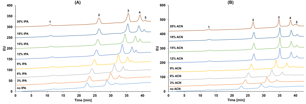 Physicochemical Analysis and Structural Characterization of Antibody-Drug Conjugates (ADCs)