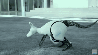A Detailed Analysis of Robot Operating Principles