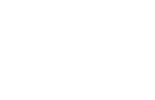 Optimization of Energy Systems Using Multi-Objective PSO