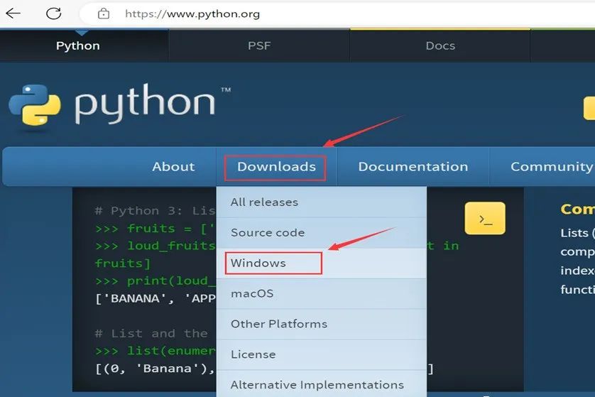Beginner's Guide to Downloading and Installing Python