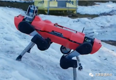 Quadruped Robot Design and Implementation