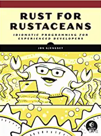 A Senior Developer's Year-Long Journey Learning Rust