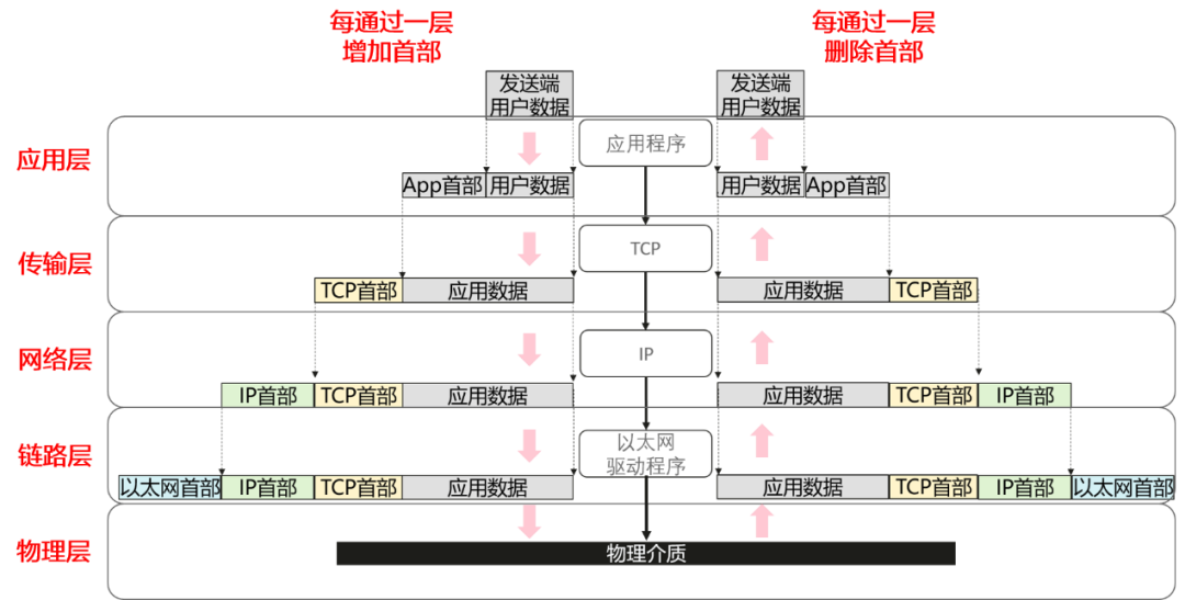Understanding the Layers of the TCP/IP Protocol Stack