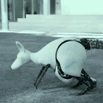 A Detailed Analysis of Robot Operating Principles