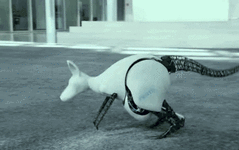 A Detailed Analysis of Robot Operating Principles