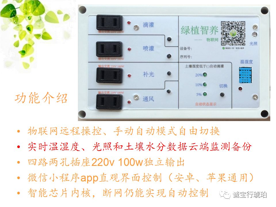 Research Paper on IoT-Based Smart Plant Care System