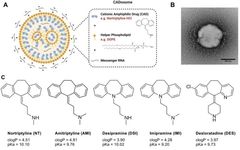 Repurposing Cationic Amphiphilic Drugs for mRNA Delivery