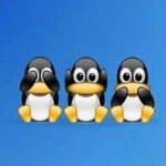 Linux Networking Essentials: TCP/IP Protocol Stack