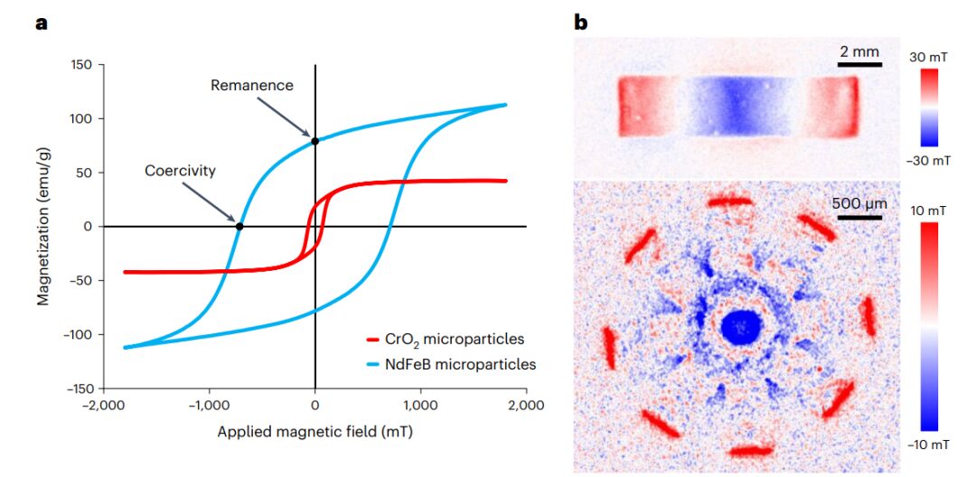 Cutting-Edge Research: Magnetic Soft-bodied Robots