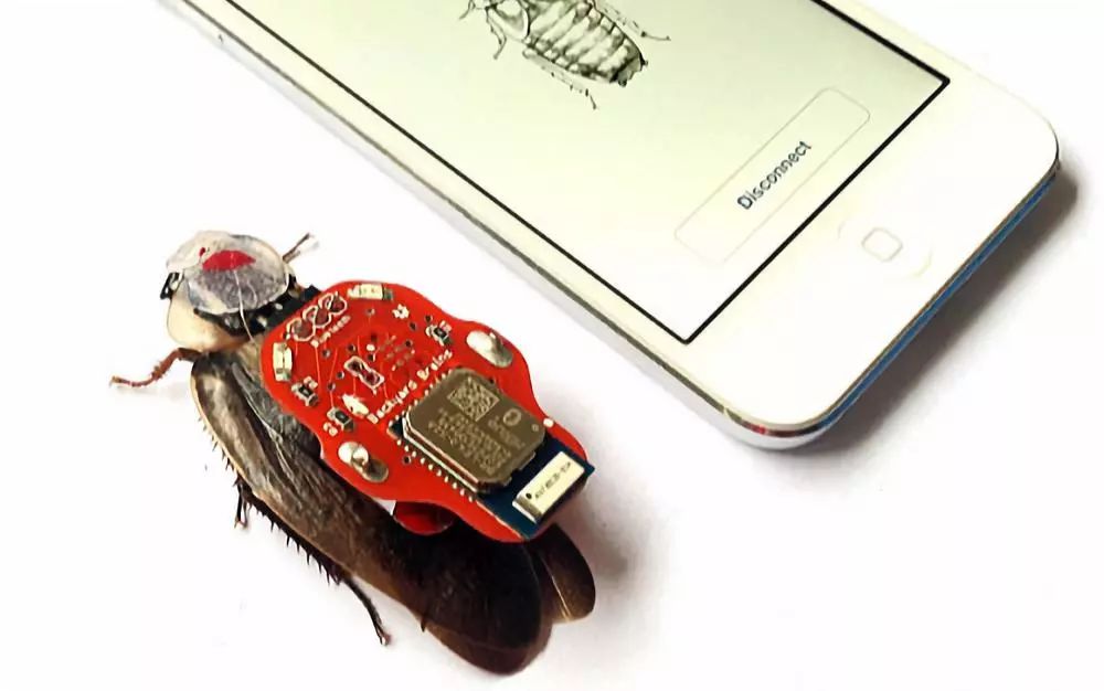 Micro Robots and Their Capabilities