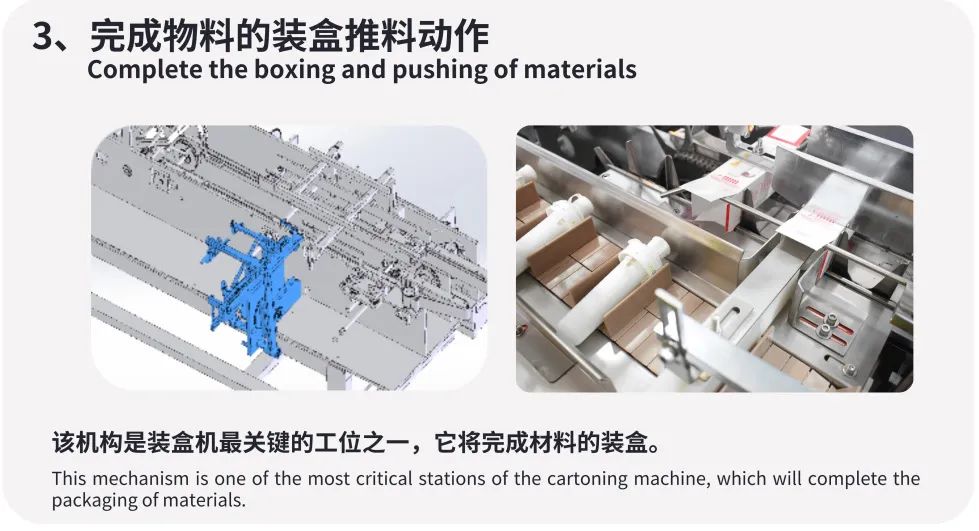 Automated Packaging Solutions for the Food Industry | Smart Box Packing Machine
