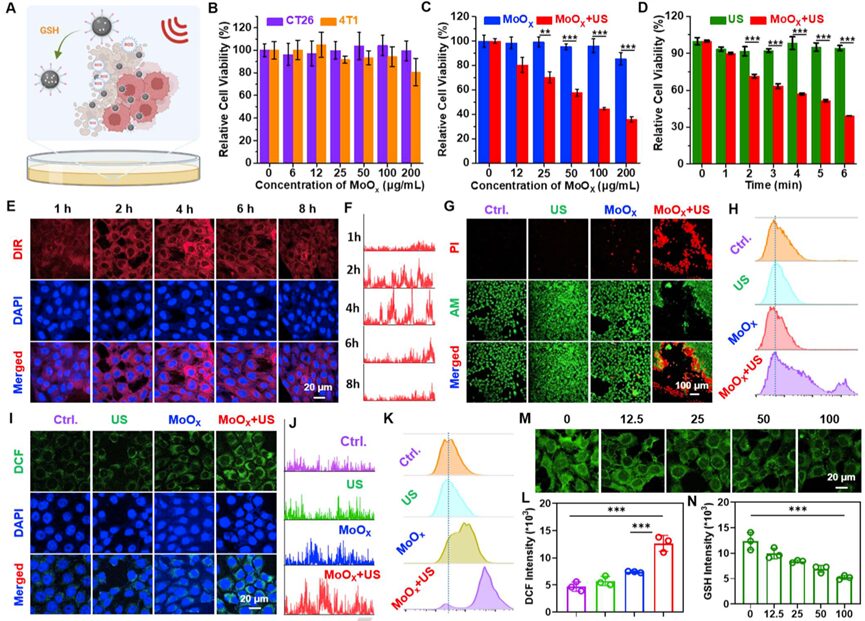 Oxygen-Deficient Molybdenum Oxide Nanosensitizers for Ultrasound-Enhanced Cancer Metalloimmunotherapy