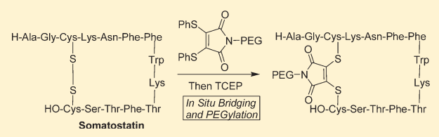 Comprehensive Overview of Antibody-Drug Conjugates (ADCs)