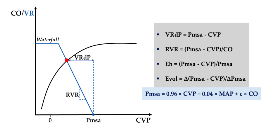 Hemodynamic Monitoring in Sepsis