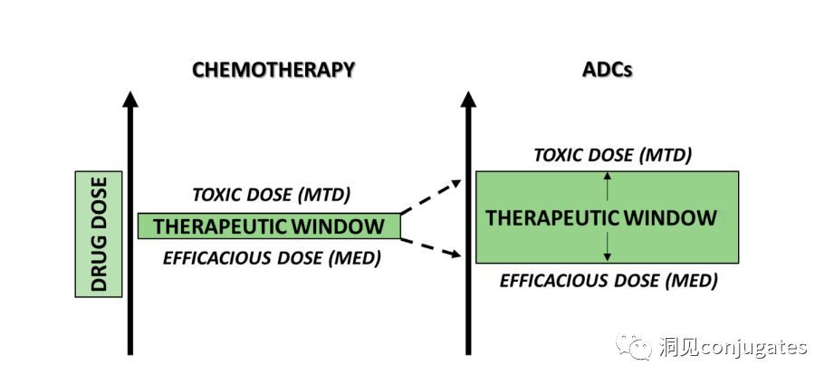 Understanding ADC: Overview, Antibody and Linker Selection