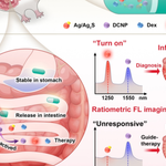 NIR-II Ratiometric Optical Theranostic Capsule for Intestinal Inflammation