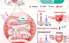 NIR-II Ratiometric Optical Theranostic Capsule for Intestinal Inflammation