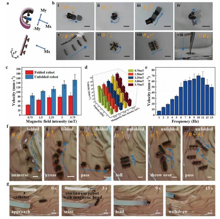 Soft Magnetic Microrobots for Targeted Drug Delivery