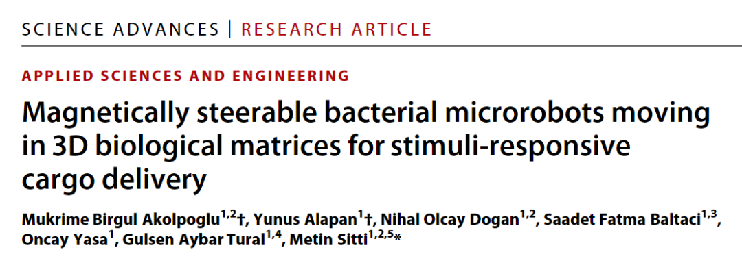 Transforming Bacteria into Microrobots for Targeted Drug Delivery in Cancer Treatment