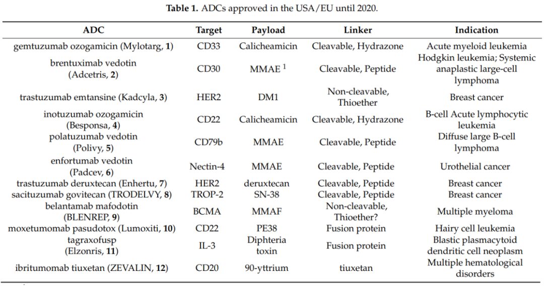 Comprehensive Overview of Antibody-Drug Conjugates (ADCs)