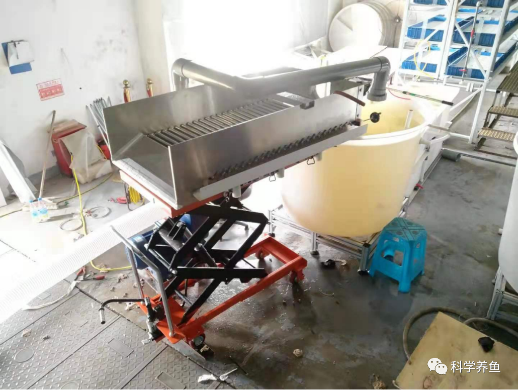 Understanding Core Technologies and Equipment for Industrial Recirculating Aquaculture
