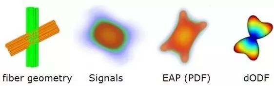 Understanding Q-Space Imaging in Diffusion MRI