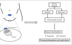 Recent Advances in Non-Invasive Bladder Monitoring Technologies