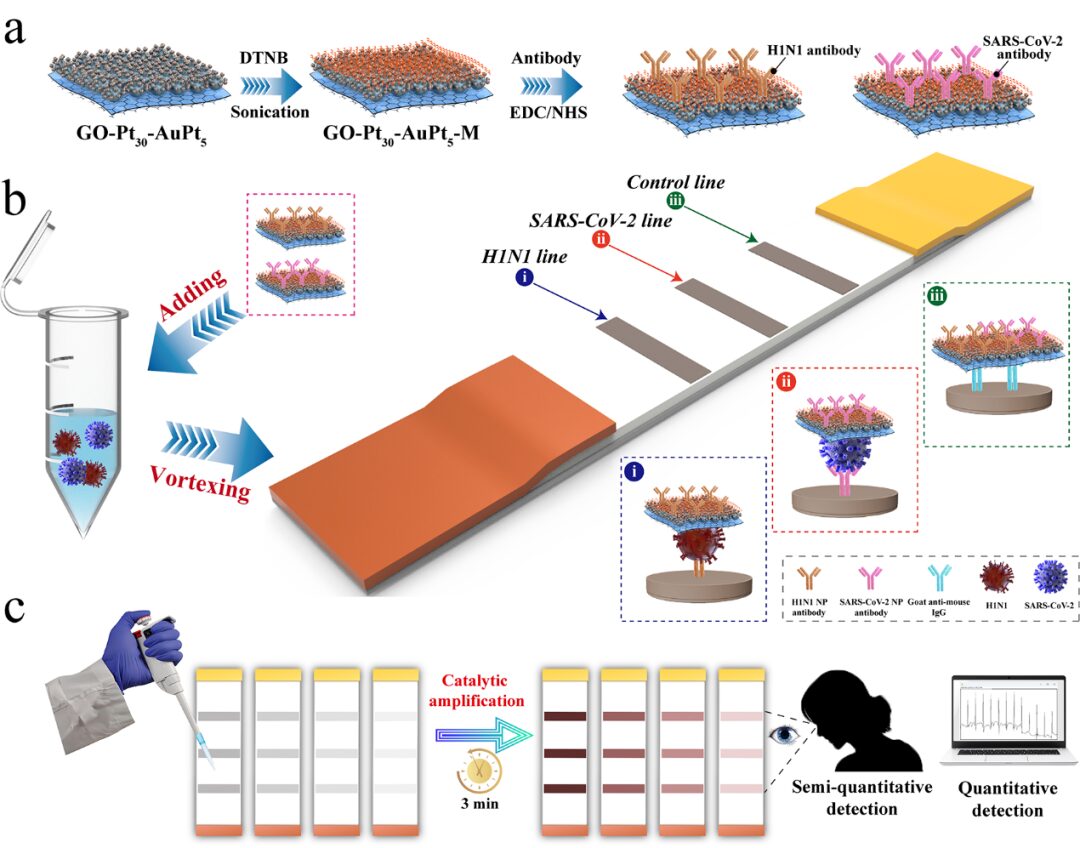 3D Film-Like Nanozyme for Ultrasensitive Detection of Respiratory Viruses