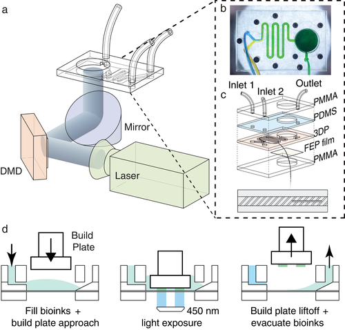 Light-Cured Bio 3D Printing: From Materials to Parameters to Applications