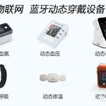 Importance of Medical-Grade Standards in IoT Remote Health Monitoring