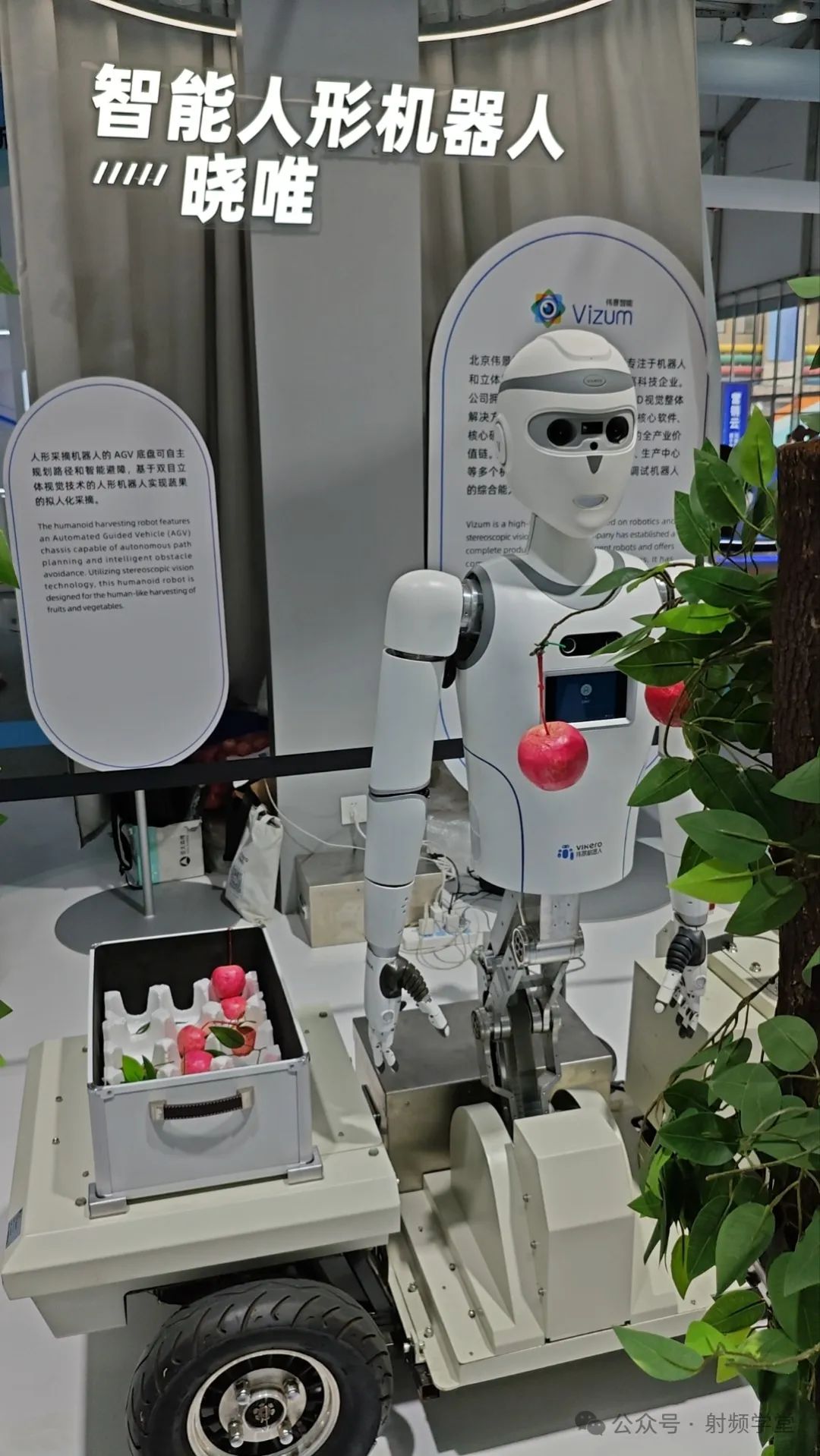 RF Modules in Humanoid Robots: An Overview
