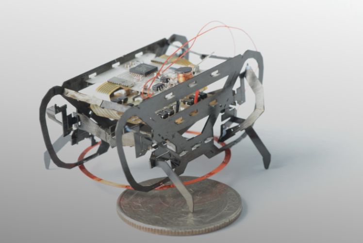 Micro Robots and Their Capabilities