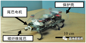 Development Status of Micrometer-Level Microrobots