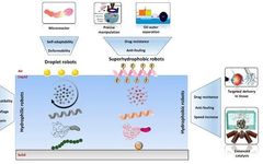 Effects of Surface Interface on Micro-Robots Functionality and Applications