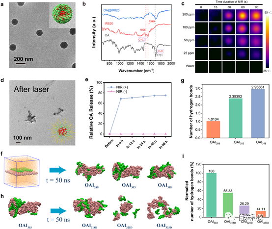Monitoring Pyroptosis in B16 Cells Using Holographic 3D Imaging