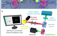 Opto-Fluidically Multiplexed Assembly and Micro-Robotics