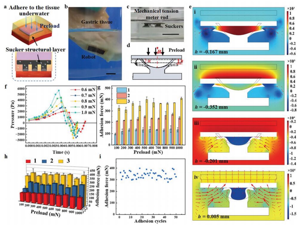 Soft Magnetic Microrobots for Targeted Drug Delivery