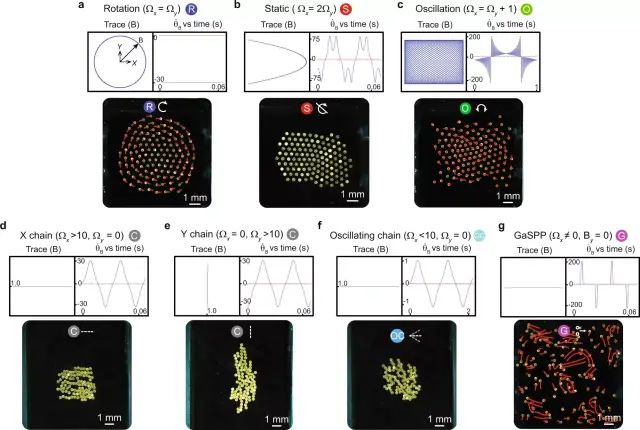 Reconfigurable Microrobotic Collectives Illuminate Future Medicine and Environmental Remediation