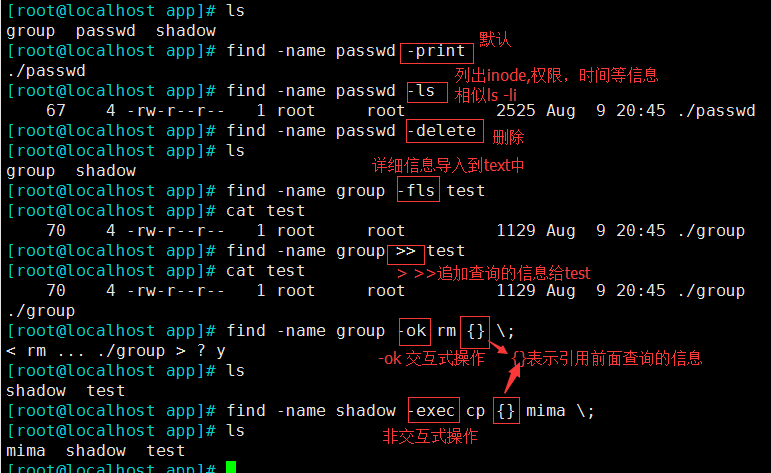 Linux File Search Tools: Locate vs Find